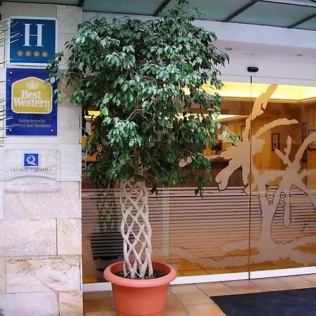 Отель Dwo Les Palmeres 4*